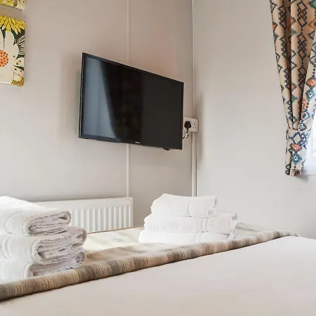 Beech Tree * Westward