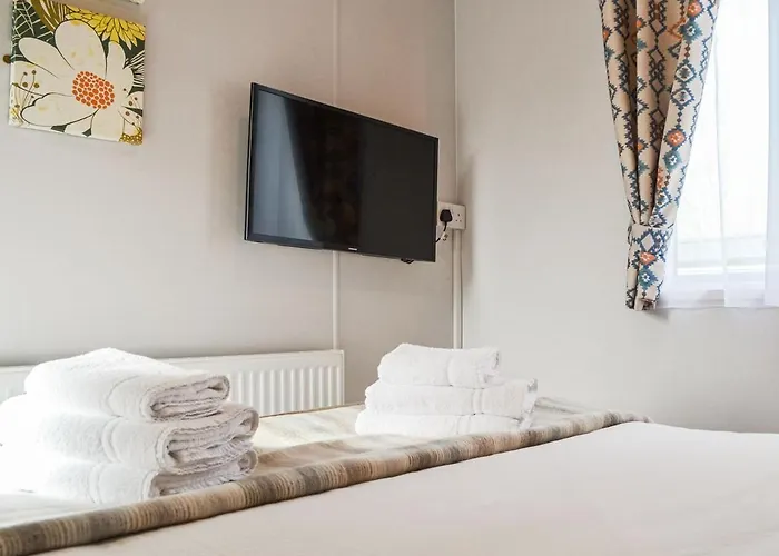 Beech Tree * Westward